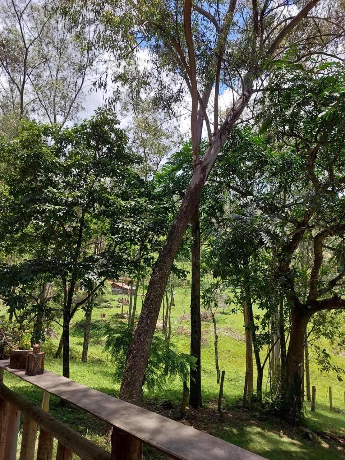 Chale Opucv Villa Gonçalves Exteriör bild